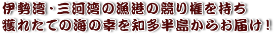 伊勢湾・三河湾の漁港の競り権を持ち獲れたての海の幸を知多半島からお届け！