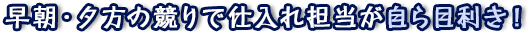 早朝・夕方の競りで仕入れ担当が自ら目利き！