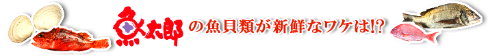 魚太郎の魚貝類が新鮮なワケは！？