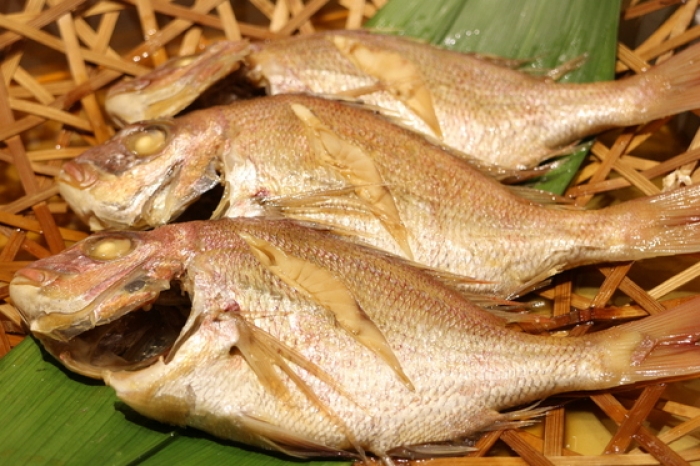 豊漁!真鯛祭り!