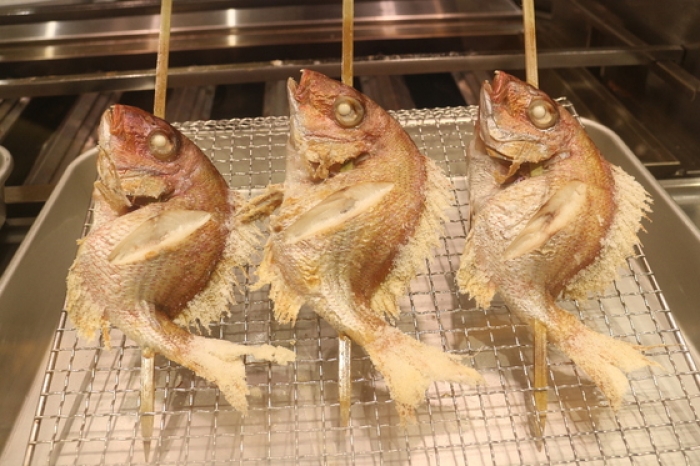 豊漁!真鯛祭り!