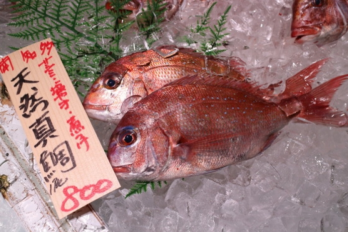 朝〆天然真鯛が旨い!