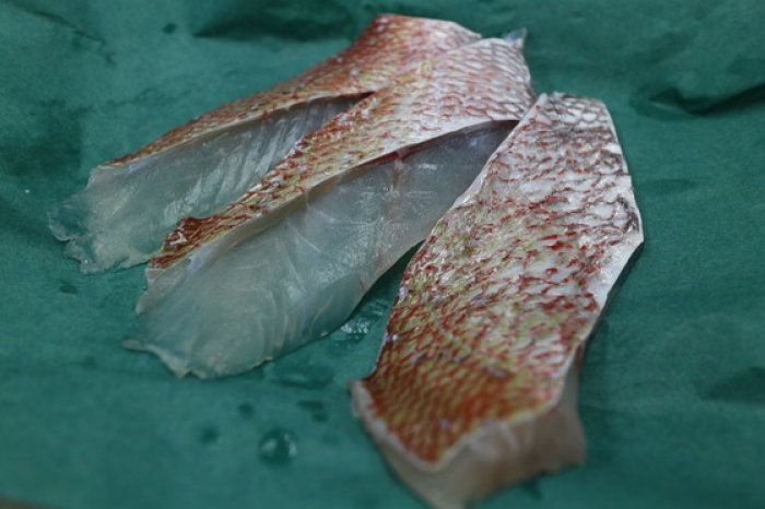 朝〆天然真鯛が旨い!