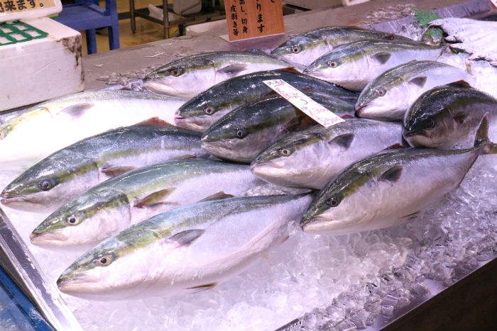 脂のってます!お値打ち!北海道産のブリ!