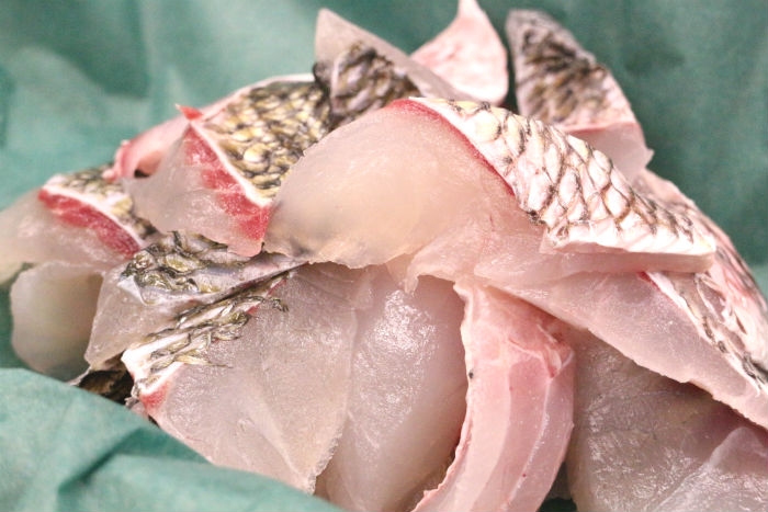 南知多産!旬の黒鯛が旨い!