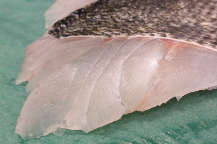 本日、活〆すずきが超お値打ち!