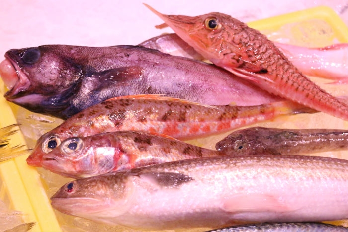 南知多産!小鯖だってサバ味噌煮にすると旨い!