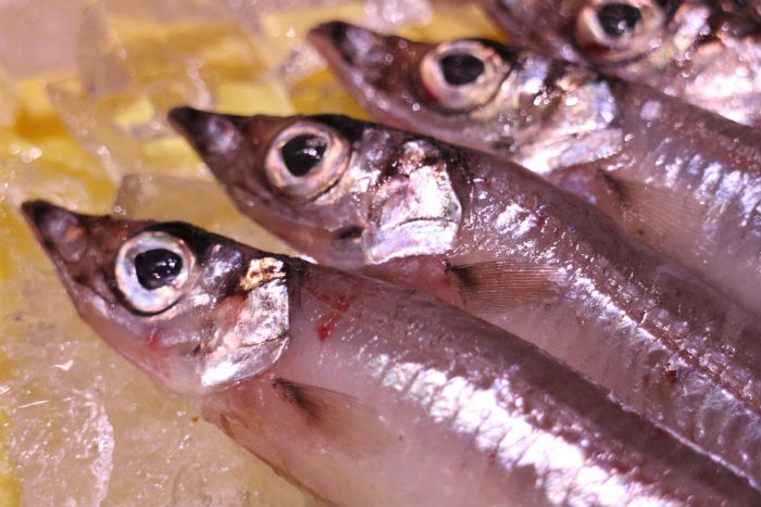 久々の特大!沖ギスが旨い!