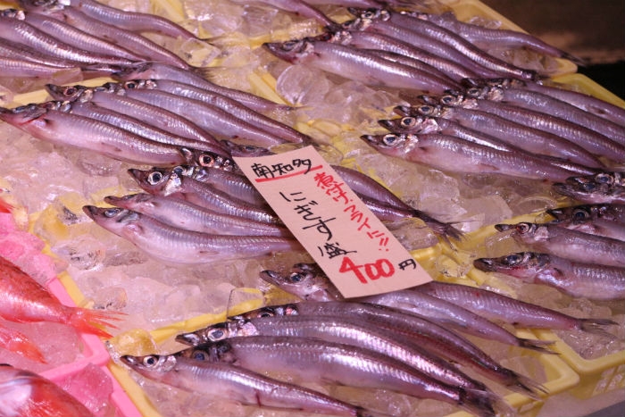 久々の特大!沖ギスが旨い!