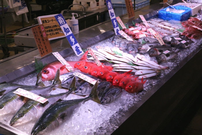 脂のってます!ち鯛が最高に旨い!