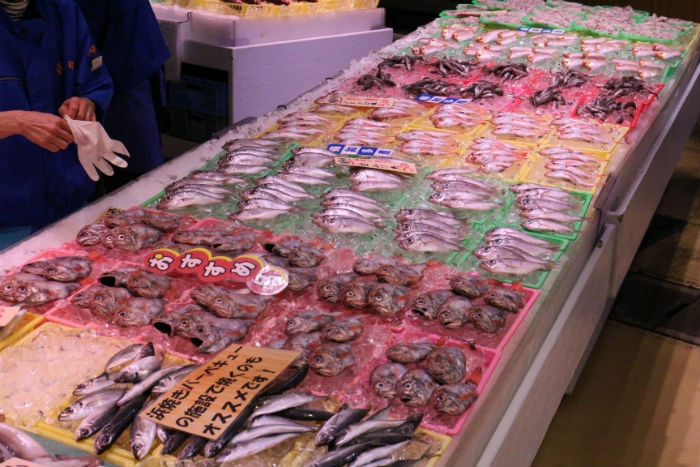 脂のってます!ち鯛が最高に旨い!