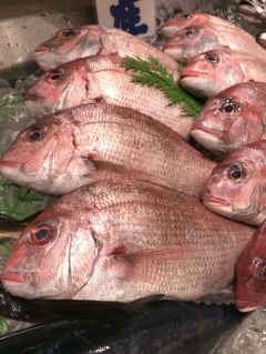 脂のり抜群の天然真鯛がお値打ち!旬です!