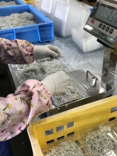 できたてちりめん全店で販売!今だけの旬の味!