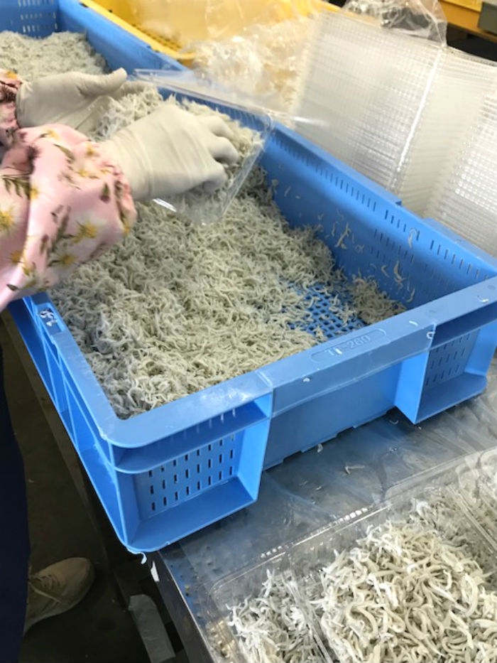 できたてちりめん全店で販売!今だけの旬の味!