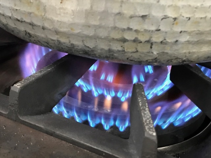 南知多産のち鯛!めちゃくちゃ脂がのってます!