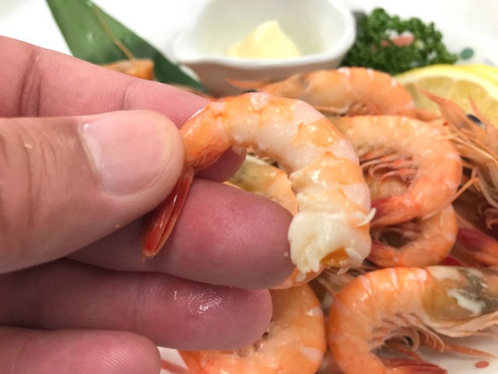 旬のあかしゃ海老!活きたまま入荷!