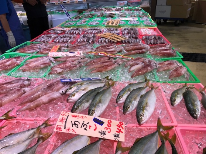 地物ヒイカが旨い!刺身でどうぞ!