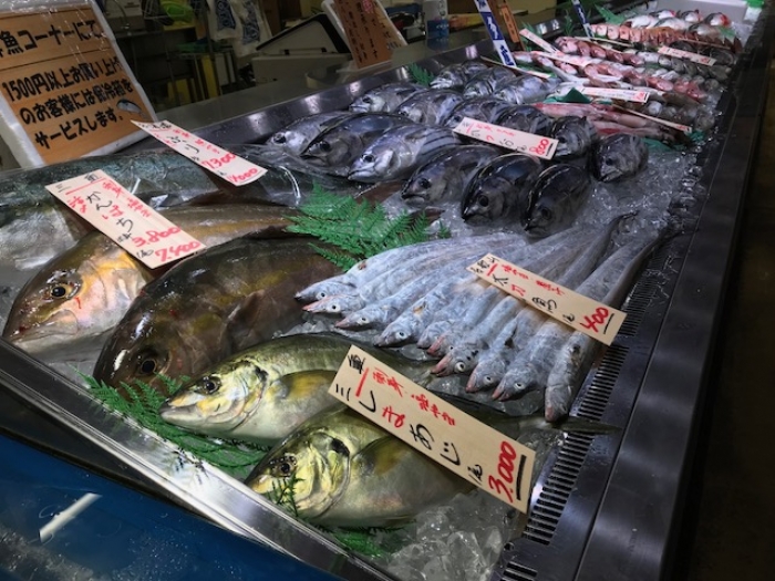 地物ヒイカが旨い!刺身でどうぞ!