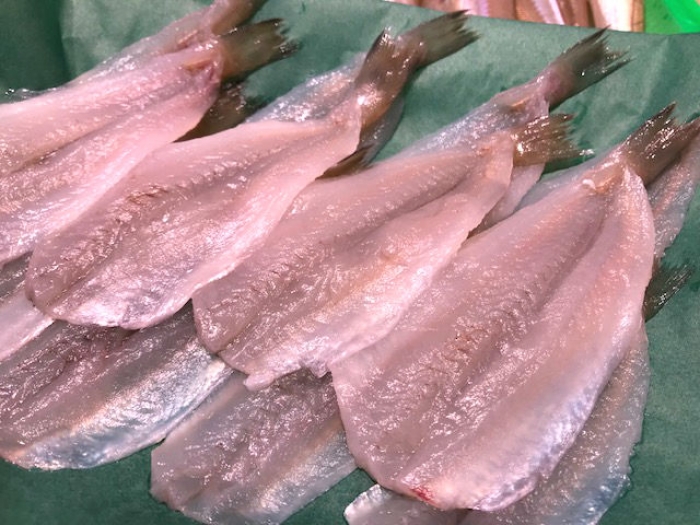 今が旬!白ギスはいかがでしょう?旨い!