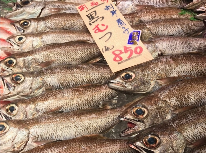 焼いてヨシ! 煮てヨシ! いい形が揚がったもんで。