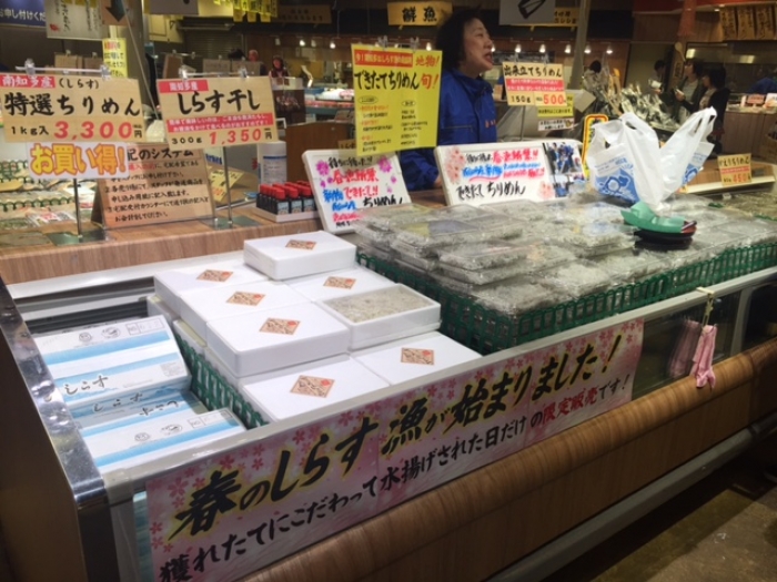 しらす春漁解禁!できたてちりめん全店で販売!今だけの旬の味!