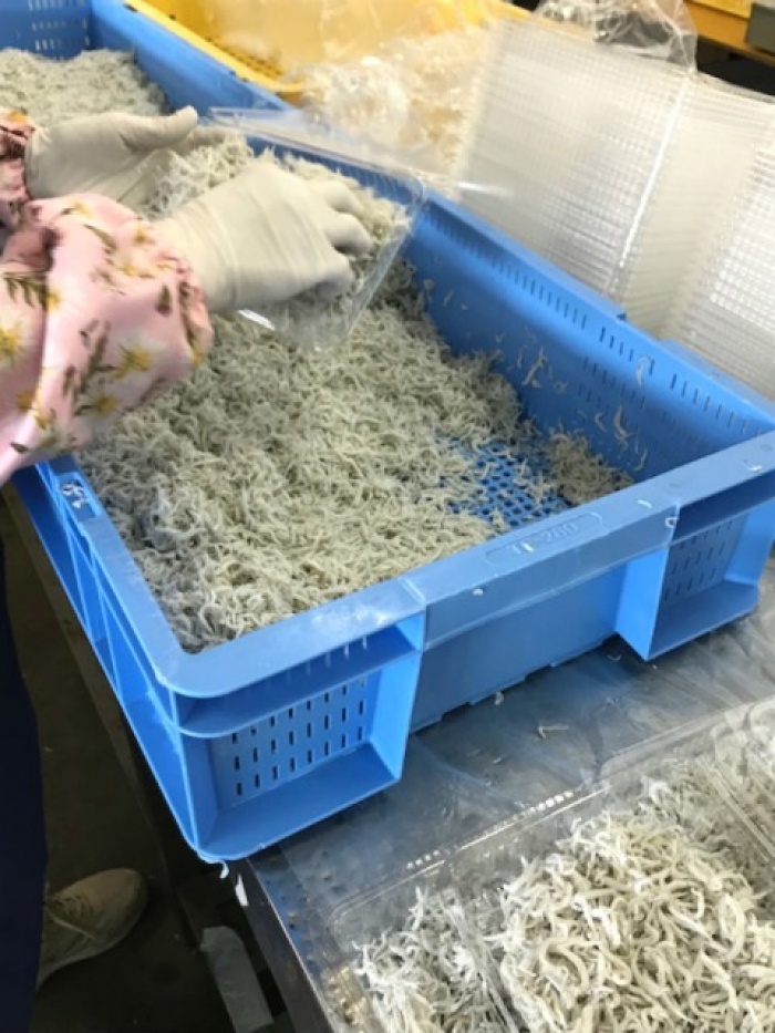 しらす春漁解禁!できたてちりめん全店で販売!今だけの旬の味!