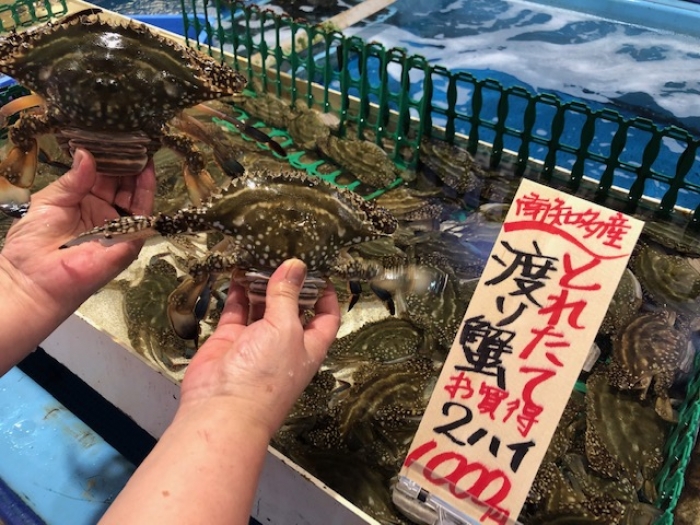 知多半島 獲れたて渡り蟹