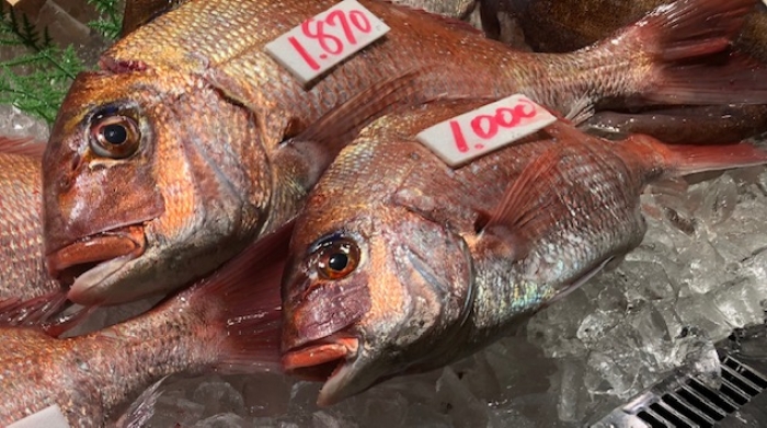 BBQ⇔鮮魚市場 選んでお造り注文!