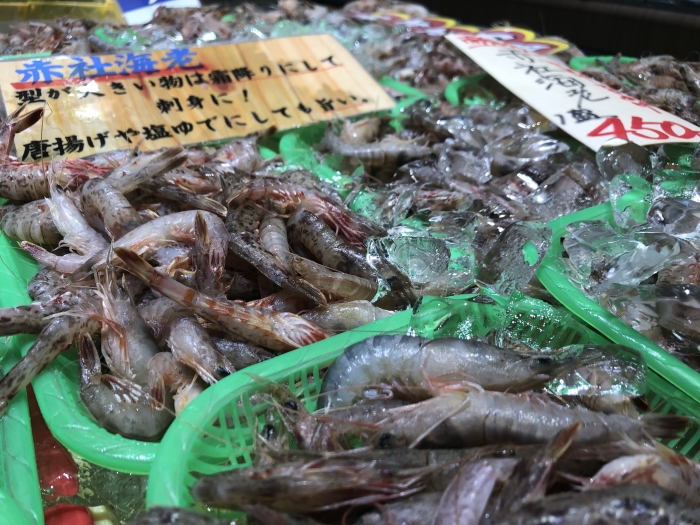 【海老3兄弟!?のご紹介】