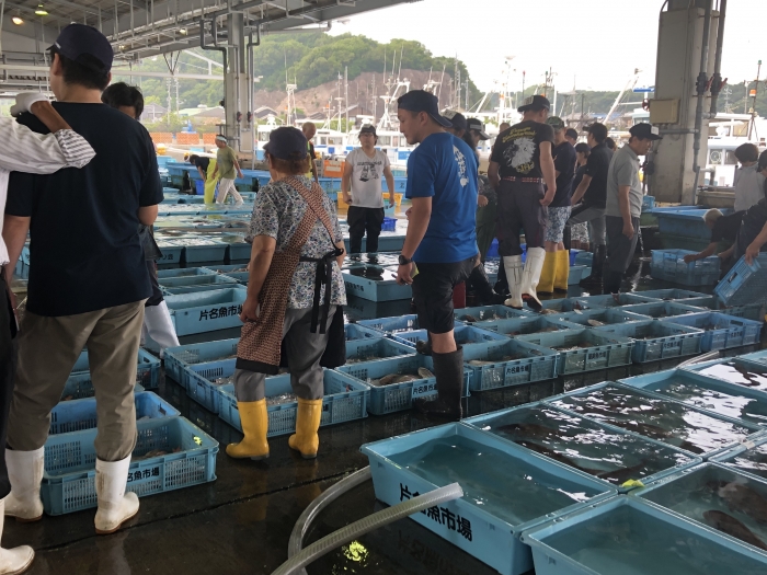 【夏が旬!】南知多産 真たこ