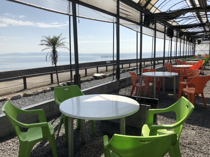 夏だ!海だ!浜焼きBBQだ!