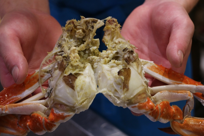 夏だ!海だ!浜焼きBBQだ!