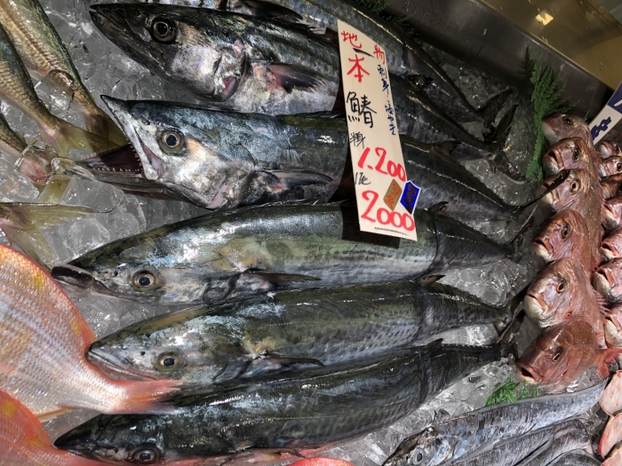 もう秋の気配?南知多で水揚げされた!地魚が本日大漁◎