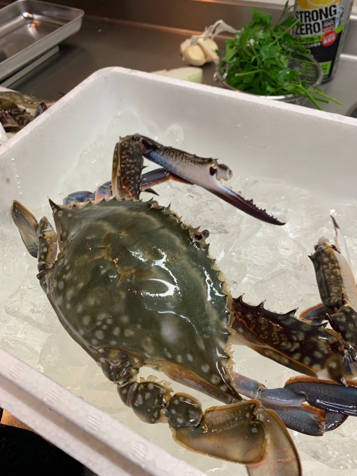 南知多産 渡り蟹が大漁でお値打ち! パスタに挑戦!