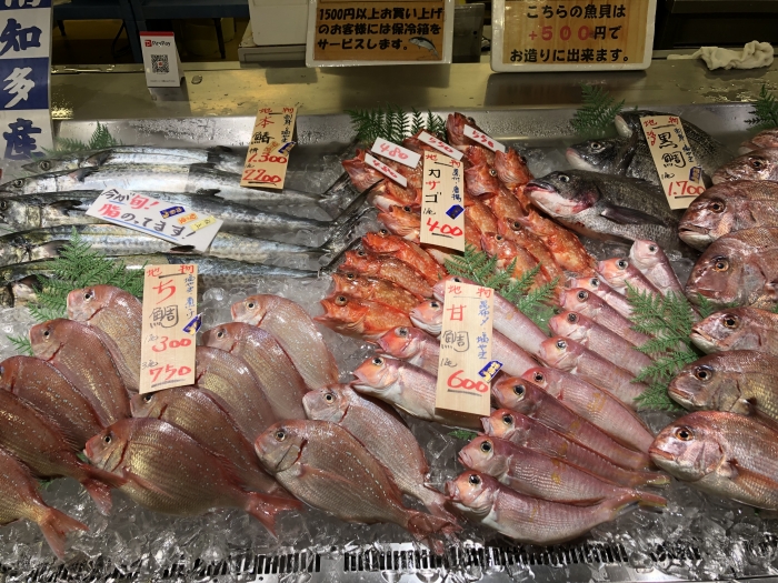 秋の知らせは小さなイカ。