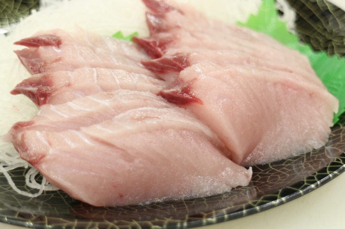 待ちに待った!秋が旬!南知多産 鰆~さわら~