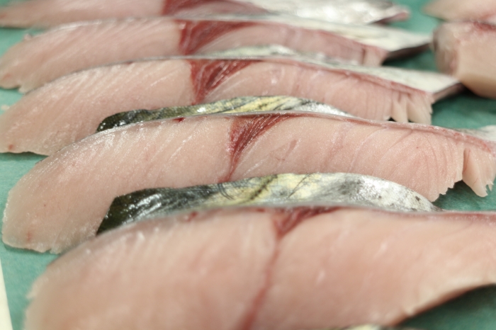 待ちに待った!秋が旬!南知多産 鰆~さわら~