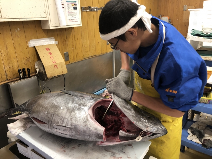 特別な祝日。特別なまぐろ。