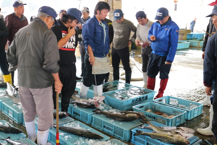 晩秋◎南知多の風物詩 【天然とら河豚】
