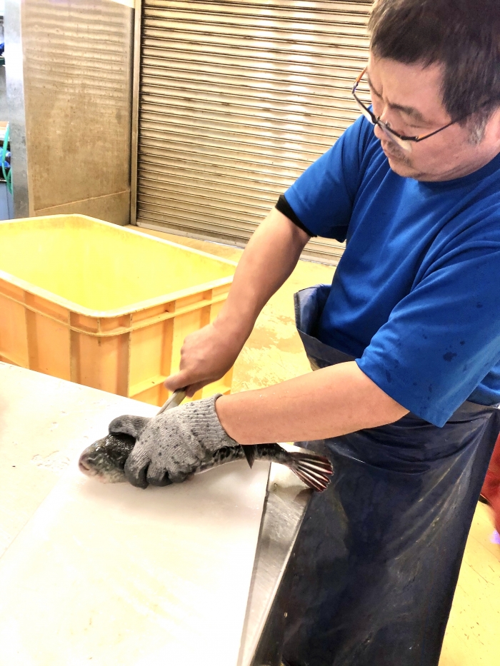 メーテレ アップで紹介されました! 【天然とら河豚】【天然彼岸ふぐ】