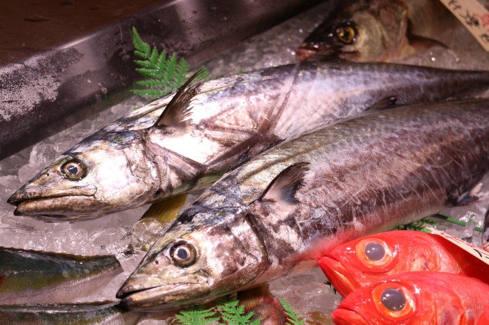 秋が旬の【鰆】さわら、刺身で食べたことありますか?