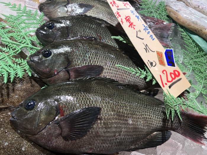 寒魚とは??寒いから旨い、冬の鮮魚たち