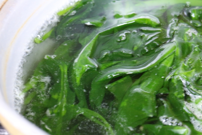 海藻の旬がやってきました!