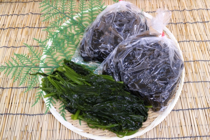海藻の旬がやってきました!