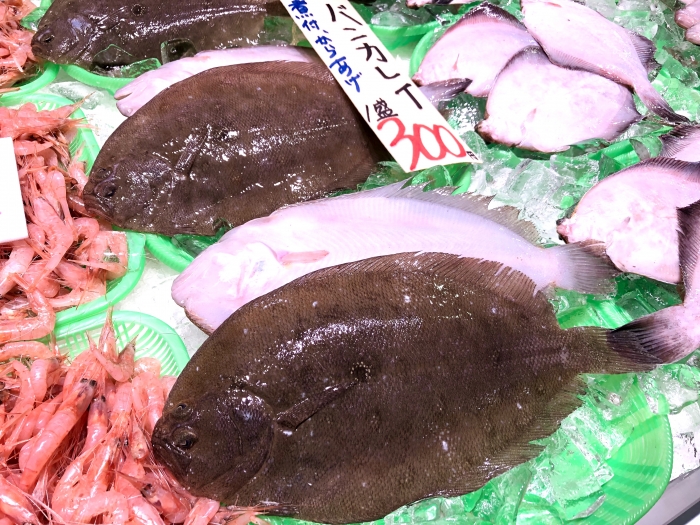 南知多産カレイの種類多すぎ!煮つけ最強説?問題を解決します!