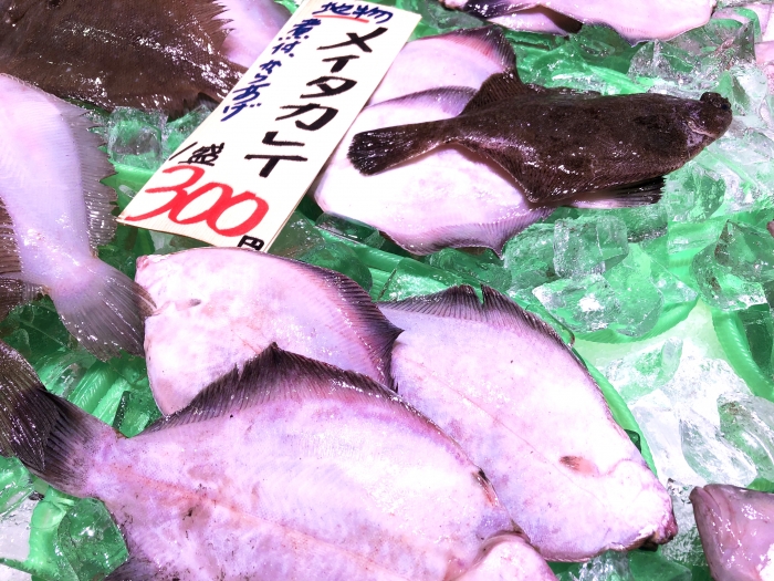 南知多産カレイの種類多すぎ!煮つけ最強説?問題を解決します!