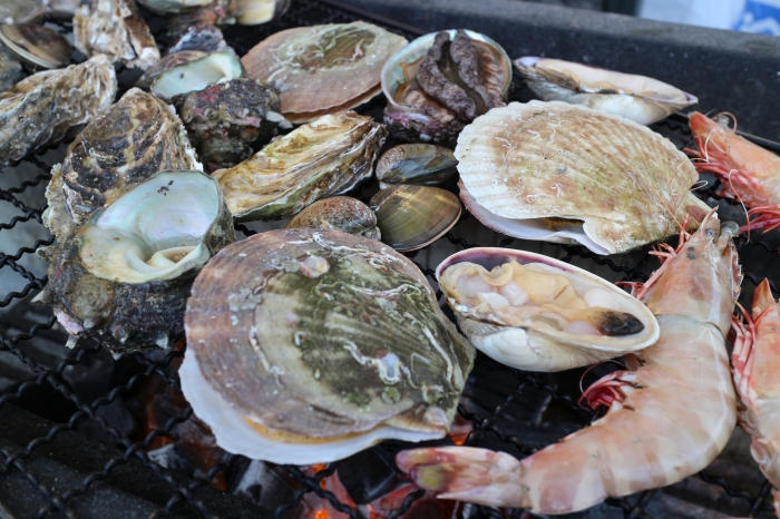 メ~テレ ハピキャンで紹介されました! 魚太郎鮮魚市場に旬の芸人さんが!
