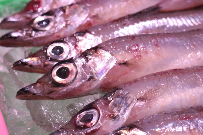 地元のおかーちゃんレシピ 脂がのった ニギス 天ぷらが絶品 知多半島の魚貝類 鮮魚から干物まで直送する 魚太郎 地元のおかーちゃんレシピ 脂がのった ニギス 天ぷらが絶品 知多半島の魚貝類 鮮魚から干物まで直送する 魚太郎