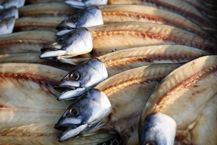 やっぱり魚太郎といえば、とろさば干物! 花咲かタイムズで紹介されました!