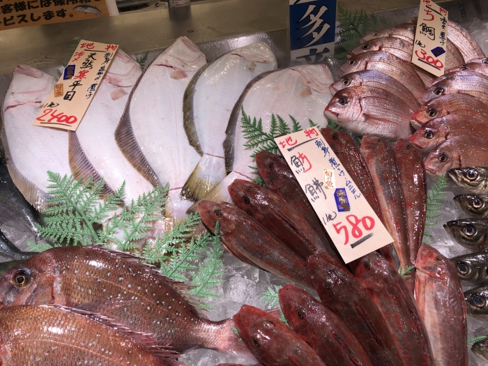 キモかわ?ブサかわ?【ミドリフサアンコウ】と紹介する鮮魚その②